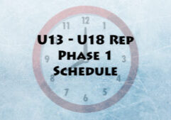 Phase 1 Schedule