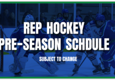pre-season blog post